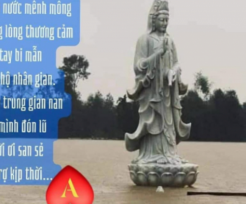 Thông tin cứu trợ đồng bào nạn nhân lũ lụt Miền Trung